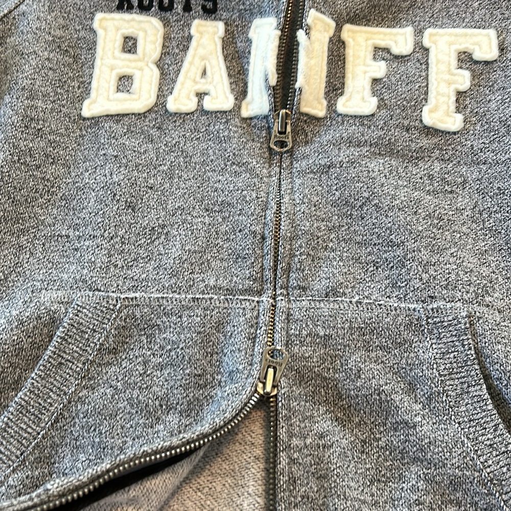 Roots Gray Banff Hoodie - Picture 6 of 12